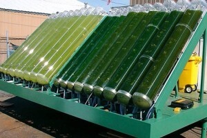 Napajanje energijom iz organskog otpada?