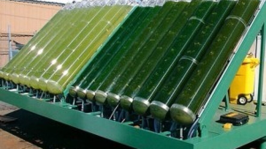 Napajanje energijom iz organskog otpada?