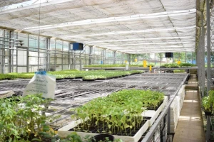 Dokaz da udruživanje ima rezultata - zadruga iz Gornje Vratnice izvozi plastenike i sisteme za navodnjavanje