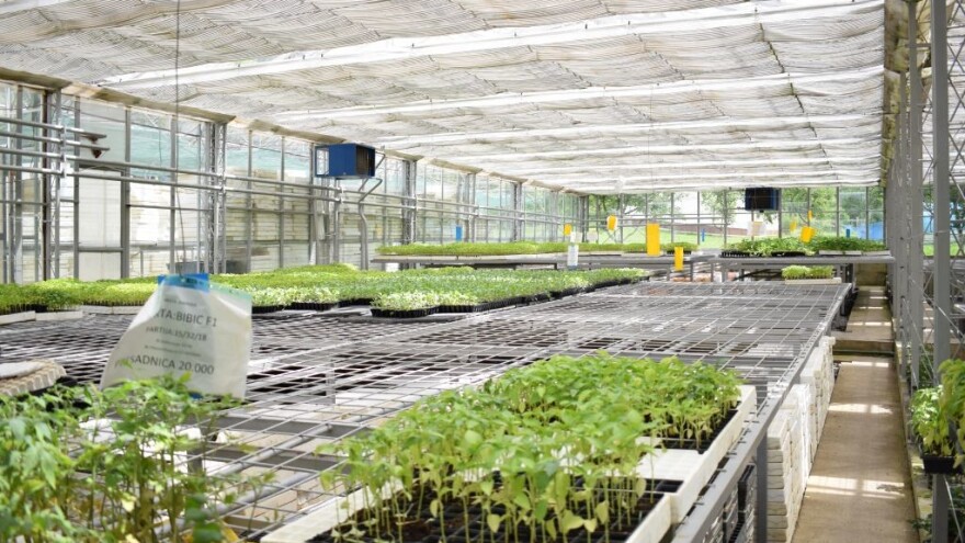 Dokaz da udruživanje ima rezultata - zadruga iz Gornje Vratnice izvozi plastenike i sisteme za navodnjavanje