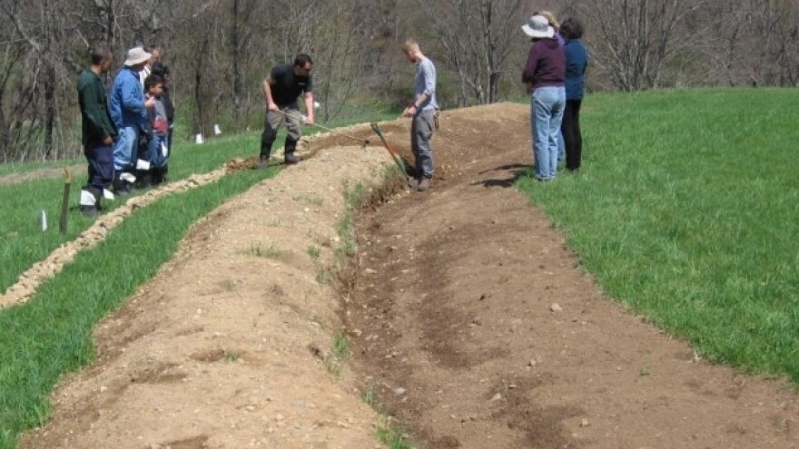 Kako uz "bioswale" stvoriti plodno tlo?