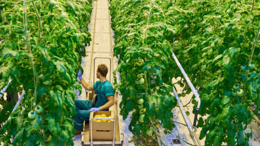 Biotehnologija za održivu budućnost?