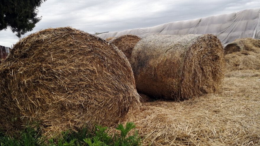 Ne mlate praznu slamu, na njoj grade održivo poslovanje