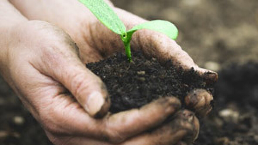 Biovrt je izvor zdravlja i vitalnosti