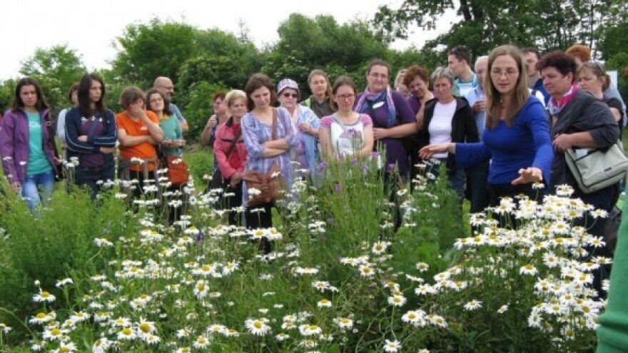 Danas se obilježava Svjetski dan šuma!