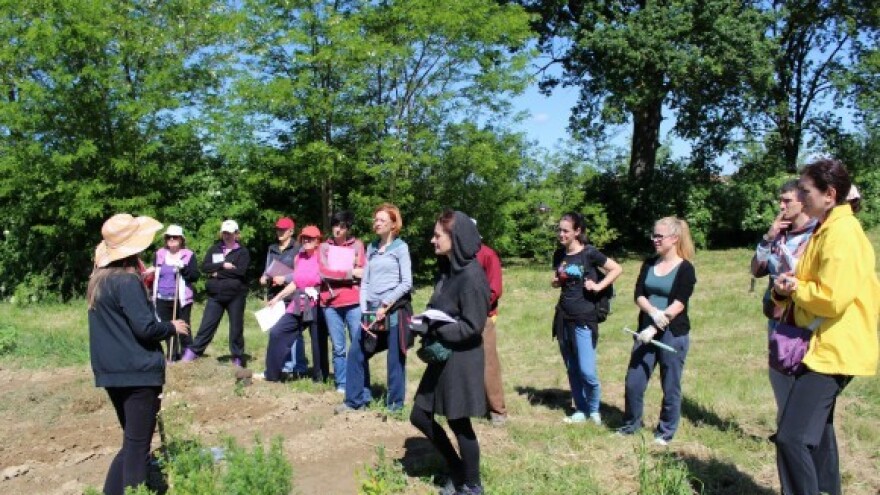 Radi se na osnivanju proizvođačkih organizacija