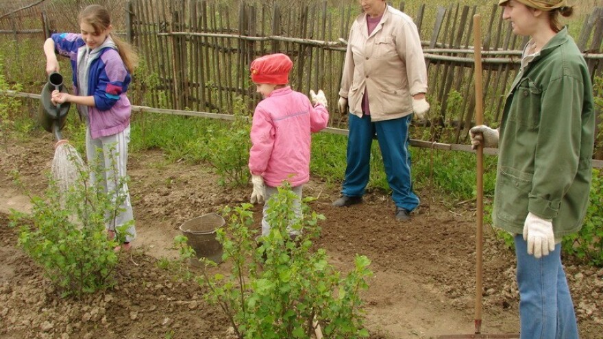 Male tajne velikih majstora biovrtlarenja!