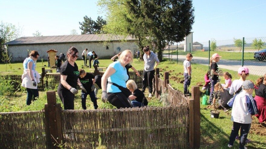 Učenici, roditelji, bake i djedovi posadili preko 80 sadnica korisnog grmlja i bobičastog voća