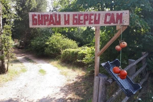 "Biraš i bereš sam"  u plastenicima povrtara iz Gadžinog Hana