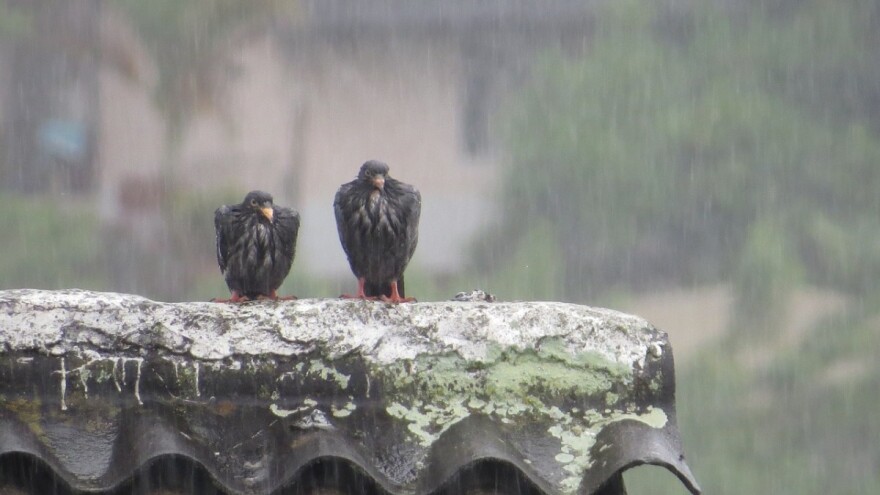 Padat će kiša do 80 litara po metru kvadratnom, na planinama snijeg