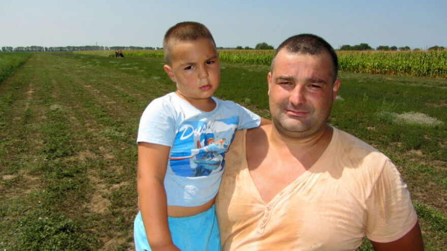 Isplativost proizvodnje nane