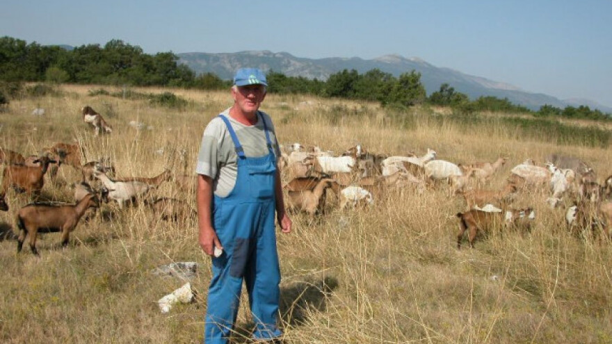 Bolje kozariti nego besposličariti!