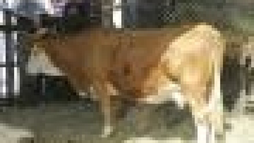 Agrokor snizio cijene stočne hrane