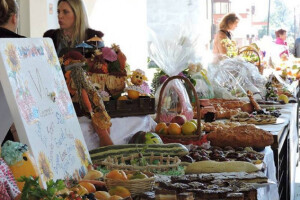 Mapirali seoska domaćinstva na Bjelašnici