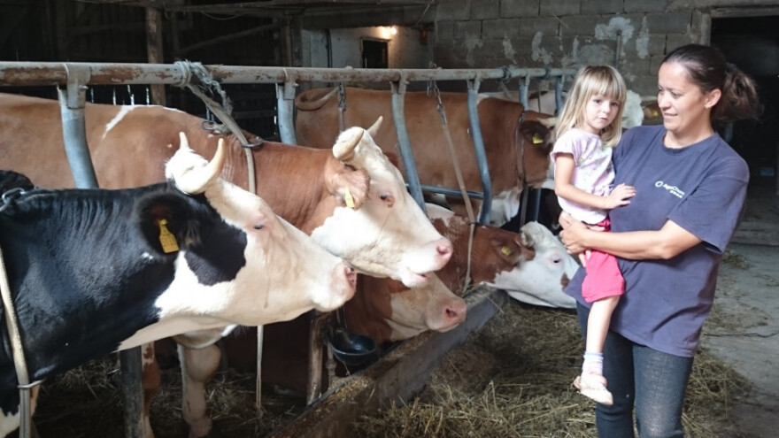 Zbog djece ne odustaju i unatoč svemu šire stado