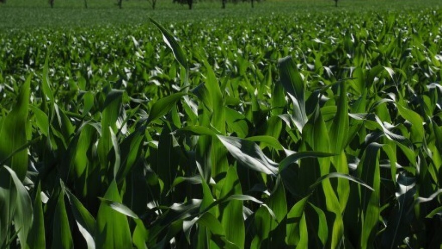 Poslovni uzlet Bjelovarsko-bilogorske županije