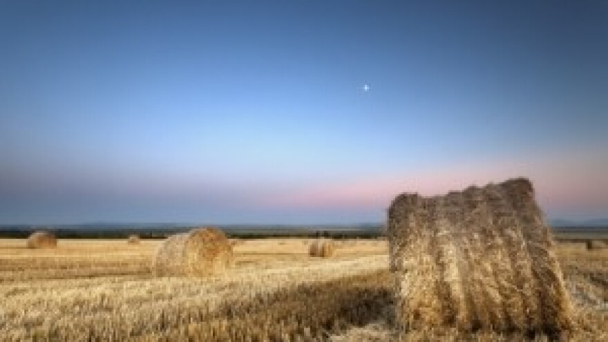 Javni poziv za zakup na području Grada Bjelovara