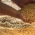 Pšenica na berzi 20, kukuruz 16,8 dinara za kilogram bez PDV-a