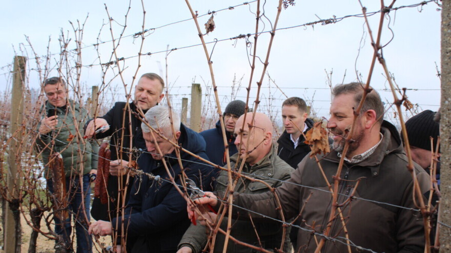 Blagdan svetog Vinka svečano obilježen na pokušalištu FAZOS-a u Mandićevcu