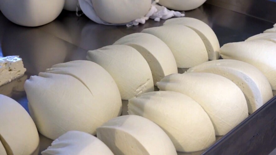 Teslićani se udružili, imaju i oni "konja za trku": Blatnički sir!