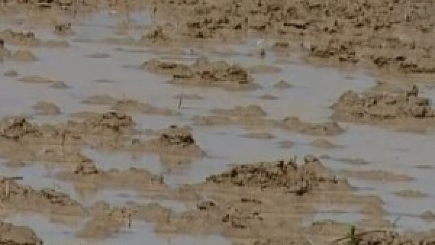 Zbog lošeg vremena kasni proljetna sjetva