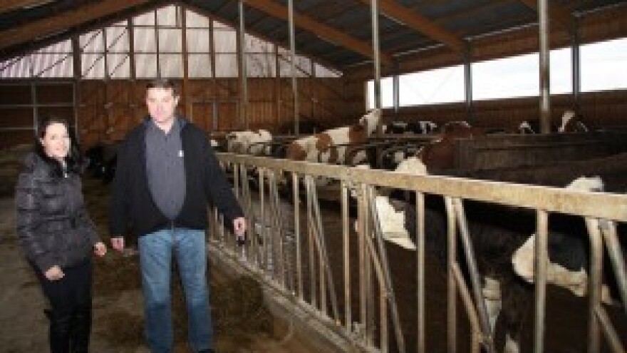 Proizvodnja pojela cijenu mlijeka!