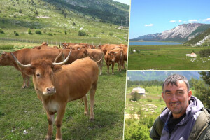 Dolaze turisti iz cijelog svijeta, ali čoban Perko ne može naći ženu