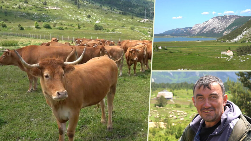 Dolaze turisti iz celog sveta, ali čoban Perko ne može da nađe ženu