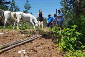 Turisti oduševljeni ponudom na Blidinju