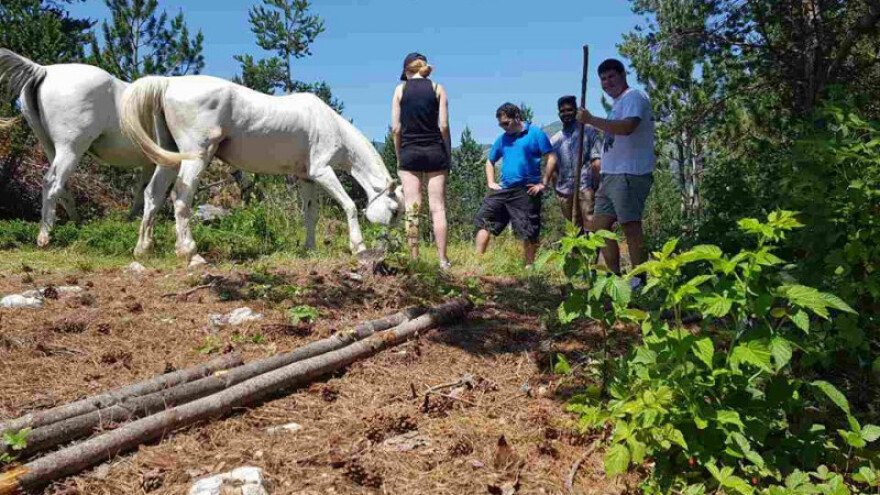 Turisti oduševljeni ponudom na Blidinju