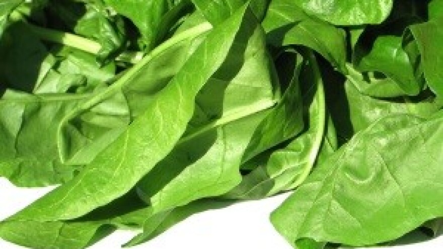 Promjene klime i biljke