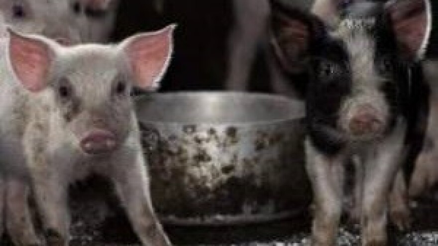 Horoskop - Blizanci (21.05. - 21.06.)