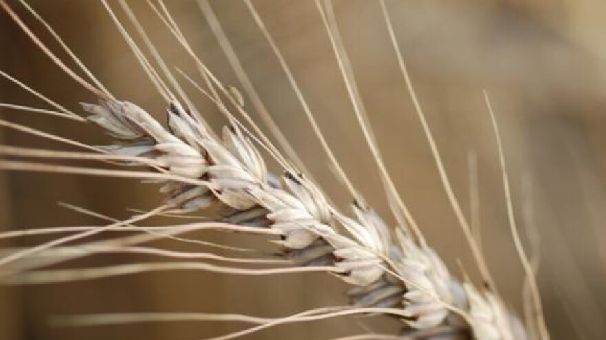 Blokirat ćemo cijelu Hrvatsku