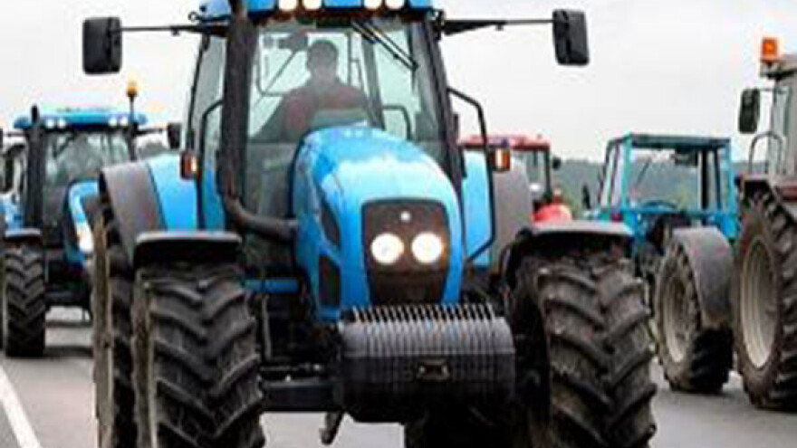 Suncokret &quot;izvodi&quot; paore na puteve