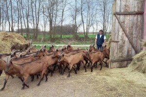 Fina: u blokadi 985 OPG-ova
