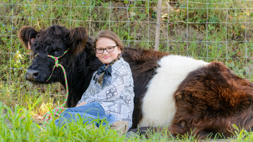 Malo govedo pomoglo bolesnoj devojčici u izlečenju