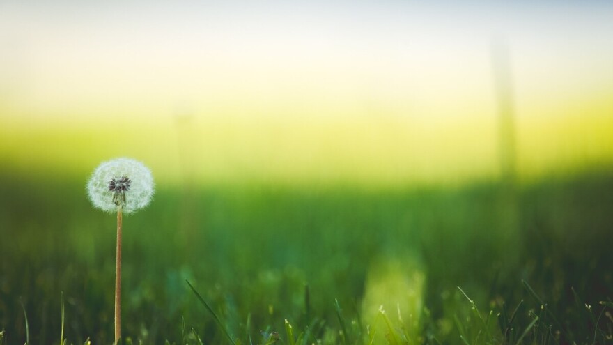 Kreće raspisivanje natječaja za državno zemljište u Općini Šandrovac