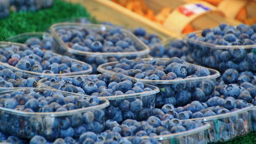 Potrošnja borovnice raste – Evropi će trebati 645 hiljada tona?