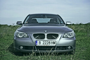 Oko BMW-a na svom polju posadit će kupine