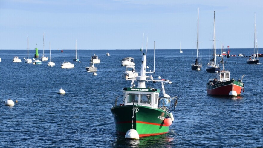 Ribarska flota EU sve je manja u broju, kapacitetu i snazi