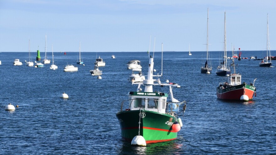 Ribarska flota EU sve je manja u broju, kapacitetu i snazi