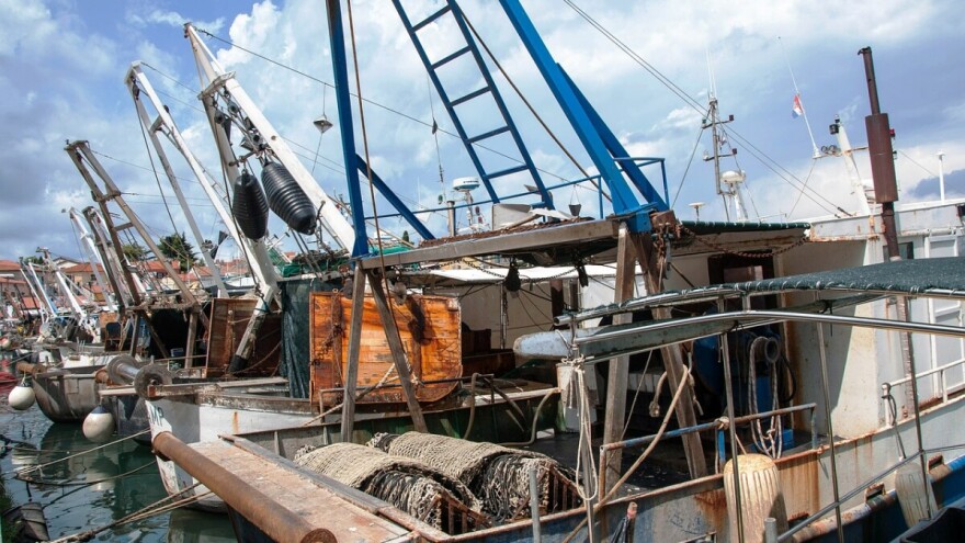 Dopuna Pravilnika o priznavanju organizacija proizvođača u ribarstvu i akvakulturi