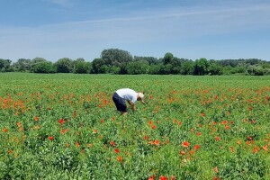 Od svinjogojske farme do prve tvornice izolata proteina u Europi