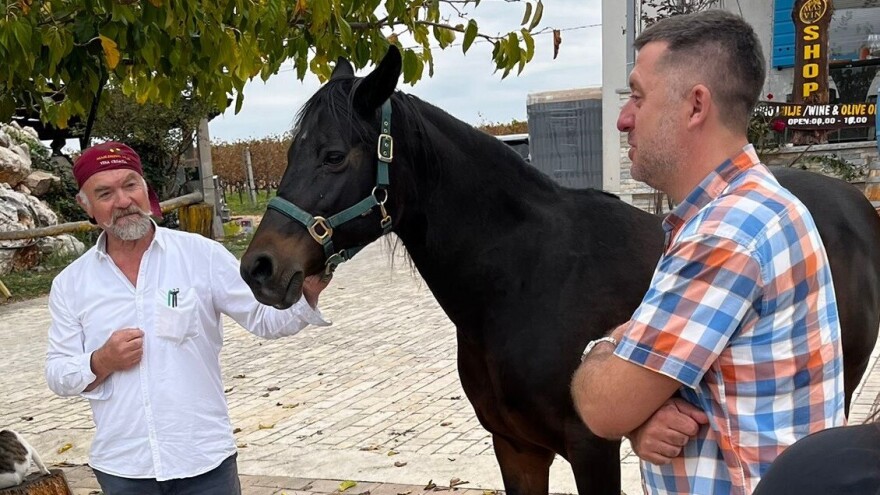 Kobni arsenal zaustavlja preradu u uljarama, Bobanović pomogao maslinarima u nevolji
