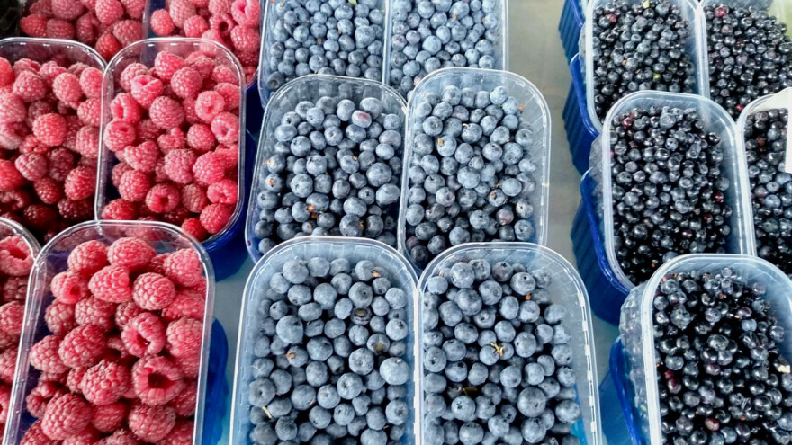 Prvi festival jagodičastog i bobičastog voća 2. jula u Beogradu