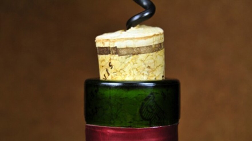 Pola milijuna kuna za kušaonicu vina