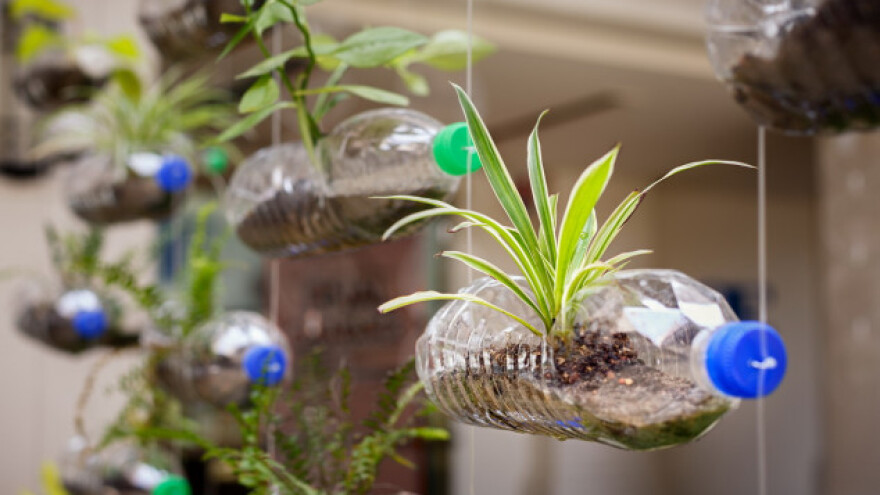 Francuska zabranila upotrebu plastičnog posuđa