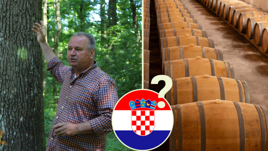 Izvozimo najkvalitetniju hrastovinu pa za naša ponajbolja vina uvozimo 'francuske' bačve.  Tko je tu lud?