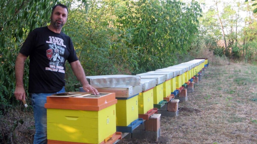 Prikupljeno više od 80 rojeva za ugrožene pčelare