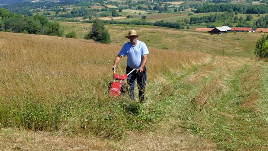 Kupuju sijeno i za 4 KM po bali - suša prepolovila rod trava i opustošila boričke livade